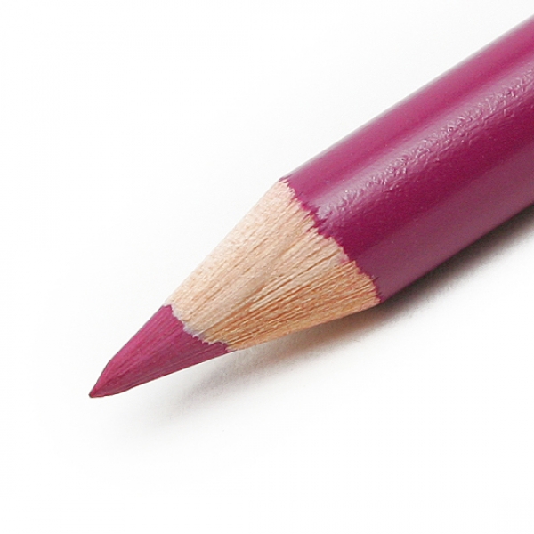파버카스텔 색연필 폴리크로모스 전문가용 24색 (110024)