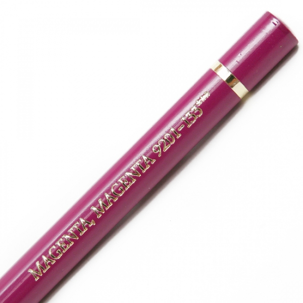 파버카스텔 색연필 폴리크로모스 전문가용 12색 (110012)